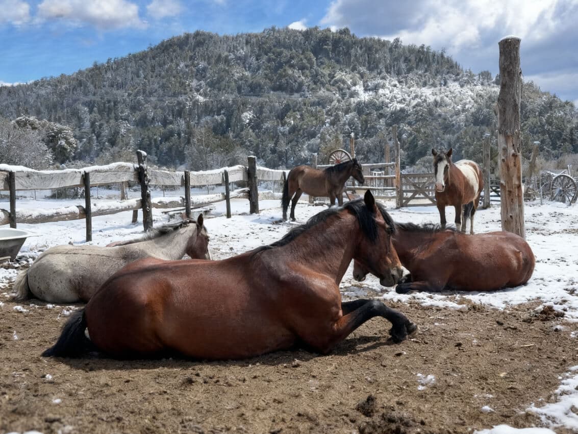 Cabalgata por el Cerro López